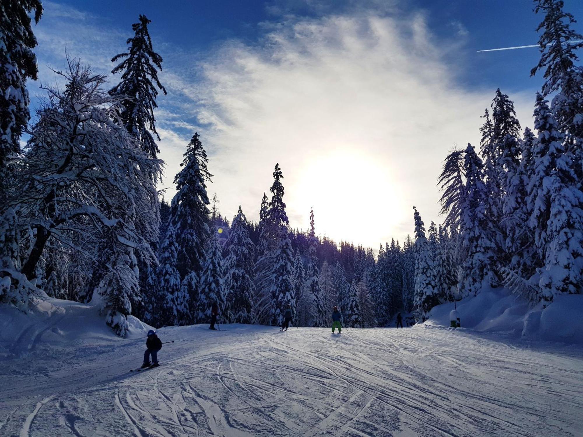 Holiday home Traunseestrand Ebensee