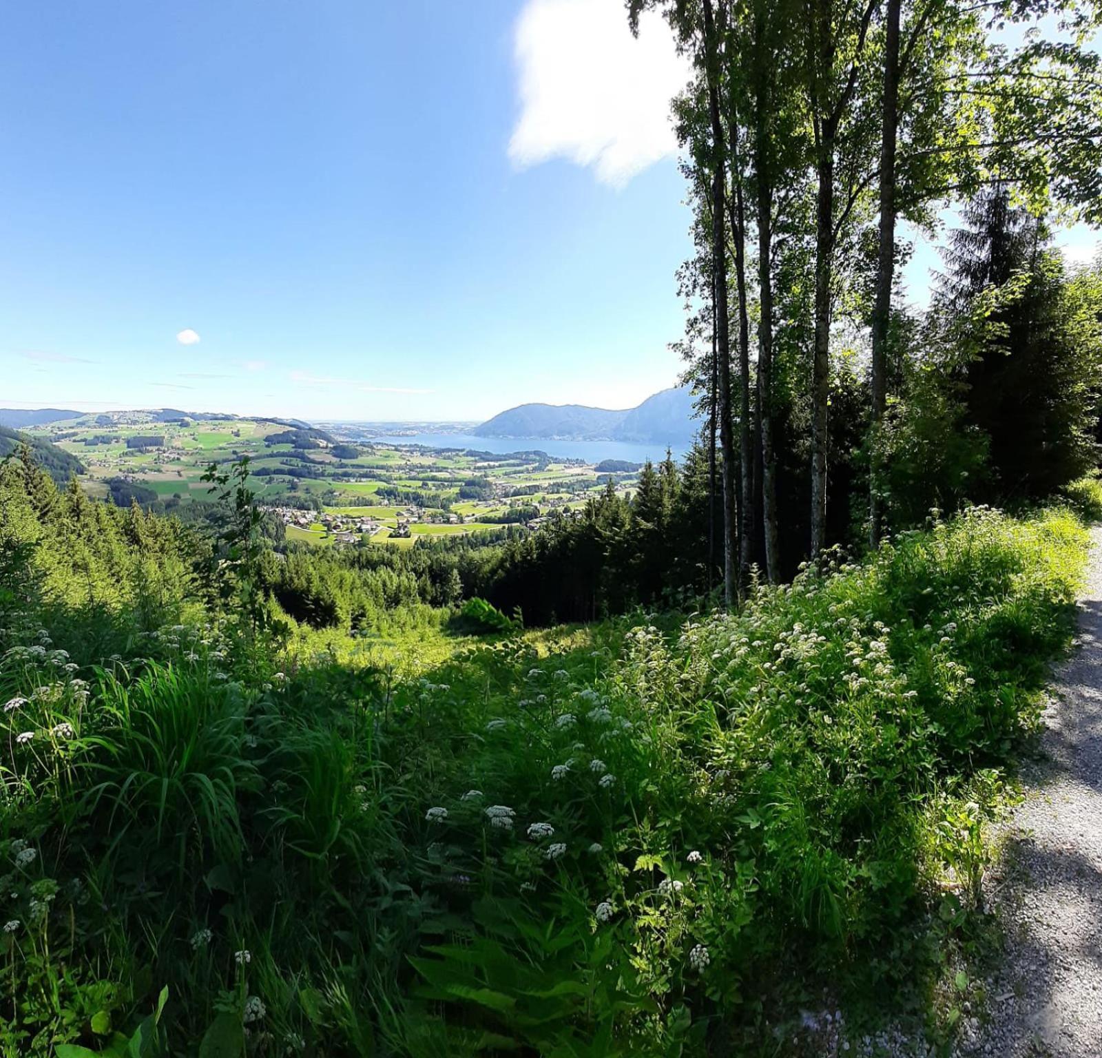 Traunseestrand